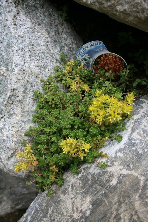 Ferienhaus "Larch Soge" Διαμέρισμα Racines Εξωτερικό φωτογραφία
